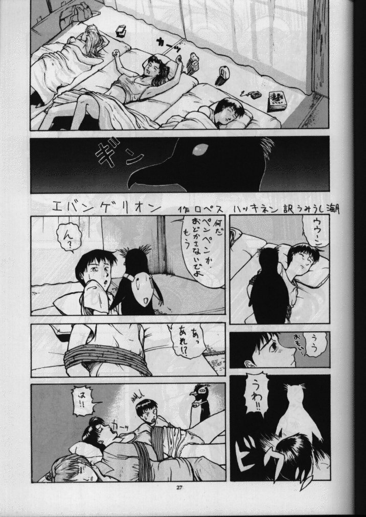 (C49) [Sanazura Doujinshi Hakkoujo (Sanazura Hiroyuki)] Sanazura Hiroyuki no Shumi no Doujinshi (Neon Genesis Evangelion) page 28 full