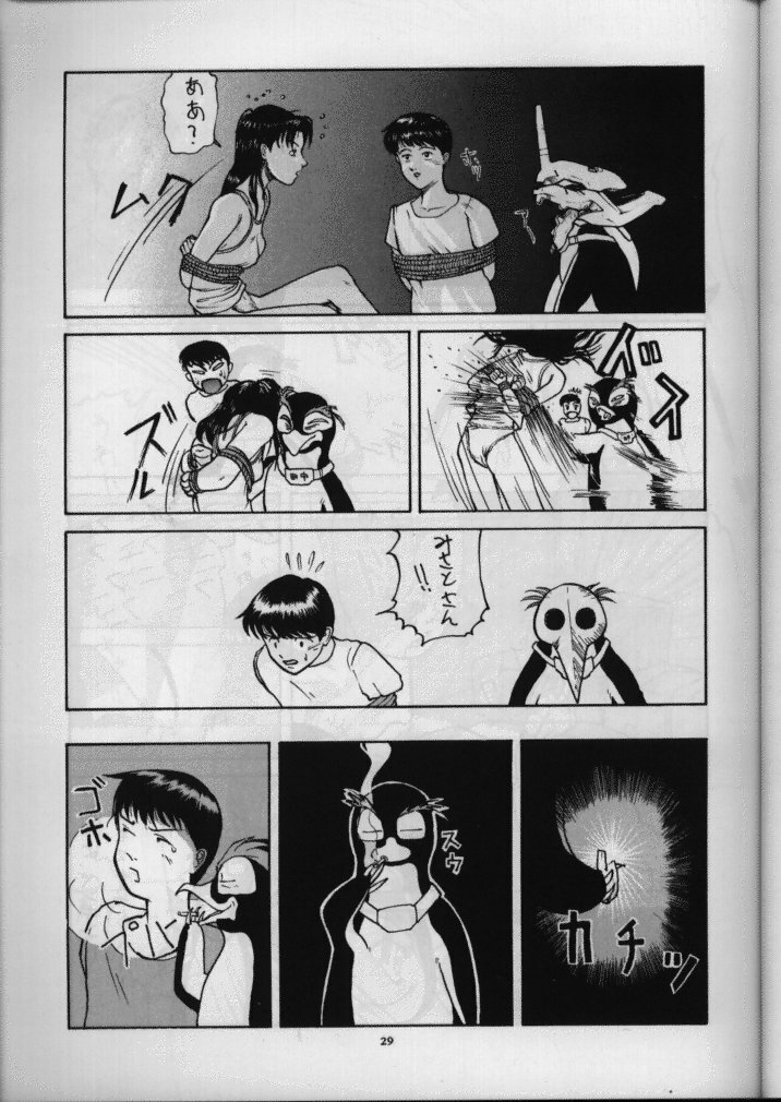 (C49) [Sanazura Doujinshi Hakkoujo (Sanazura Hiroyuki)] Sanazura Hiroyuki no Shumi no Doujinshi (Neon Genesis Evangelion) page 30 full