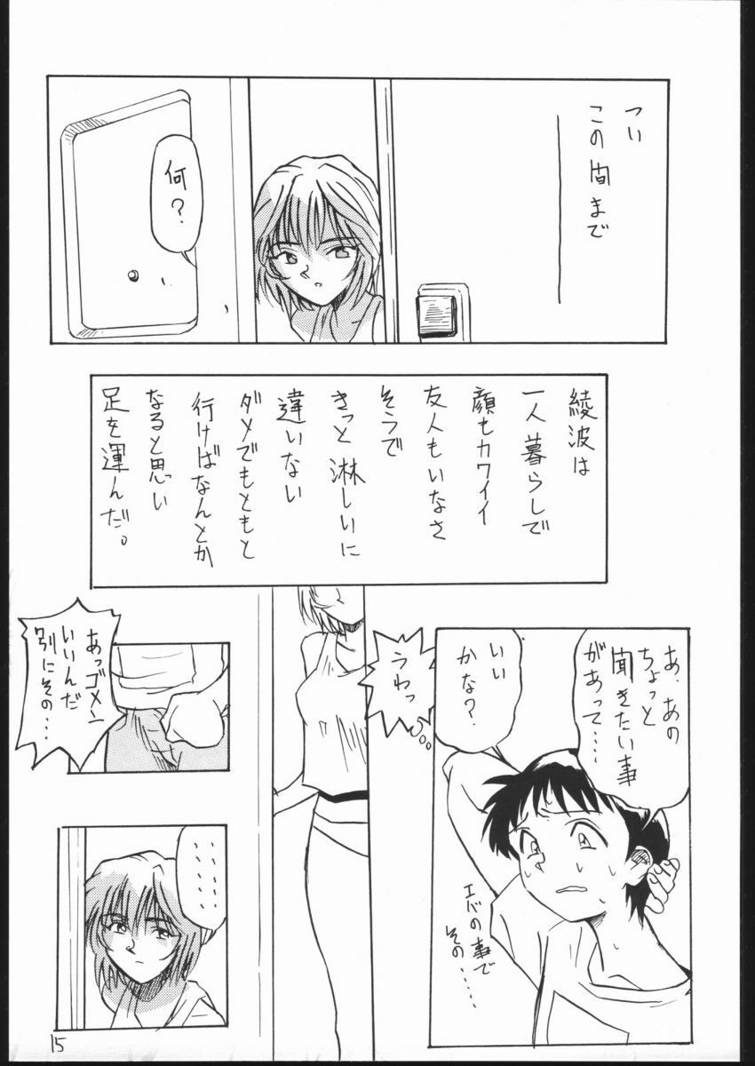 (CR29) [V. Hercules (Shimada Kazuma)] 01 DIGITAL (Neon Genesis Evangelion) page 13 full