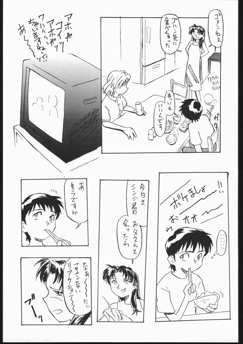 (CR29) [V. Hercules (Shimada Kazuma)] 01 DIGITAL (Neon Genesis Evangelion) page 41 full