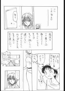 (CR29) [V. Hercules (Shimada Kazuma)] 01 DIGITAL (Neon Genesis Evangelion) - page 13