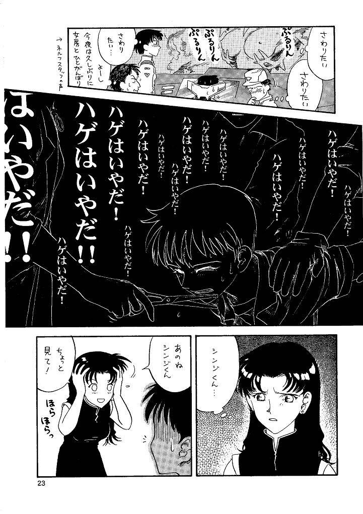 [Naschbe (Choukyuuten, Fuyuno Pin)] Shin Seiki Nehangelion (Neon Genesis Evangelion) page 23 full