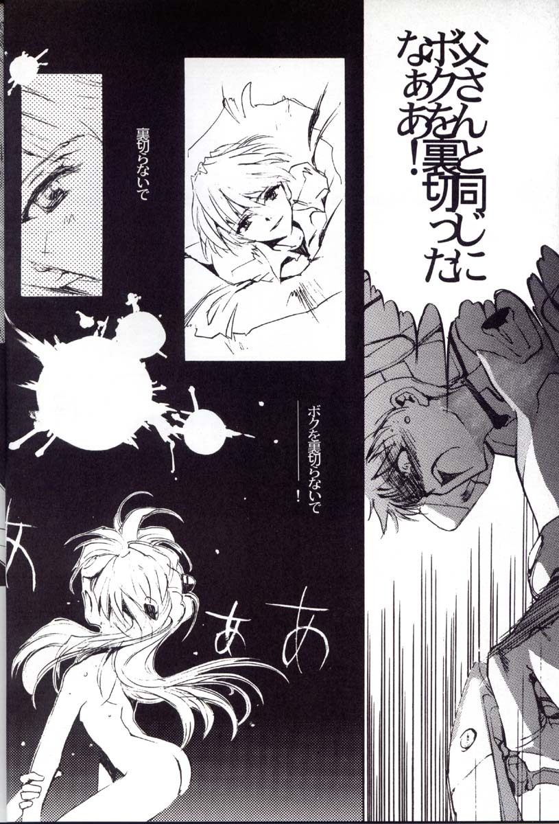 (C52) [CHOCOLATE SHOP (CHOCO)] Houtai Shoujo THE THIRD (Neon Genesis Evangelion) page 29 full