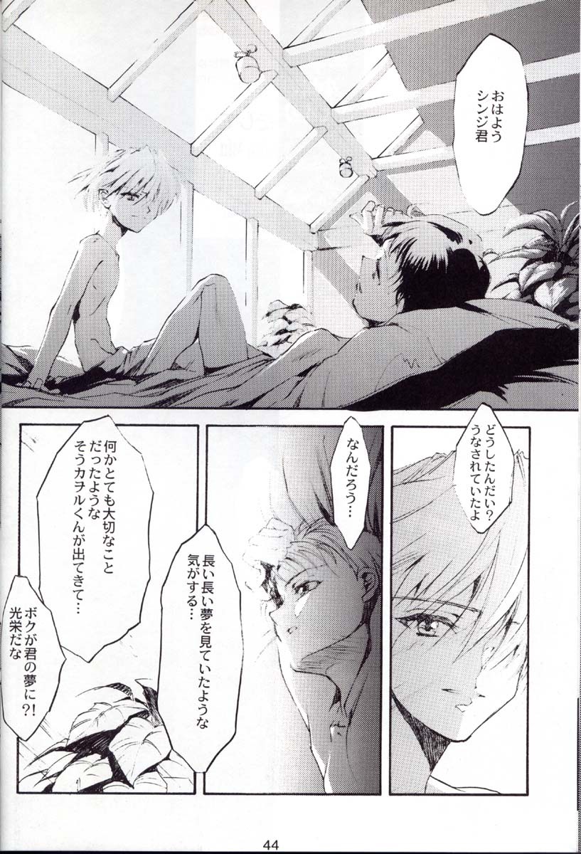 (C52) [CHOCOLATE SHOP (CHOCO)] Houtai Shoujo THE THIRD (Neon Genesis Evangelion) page 43 full