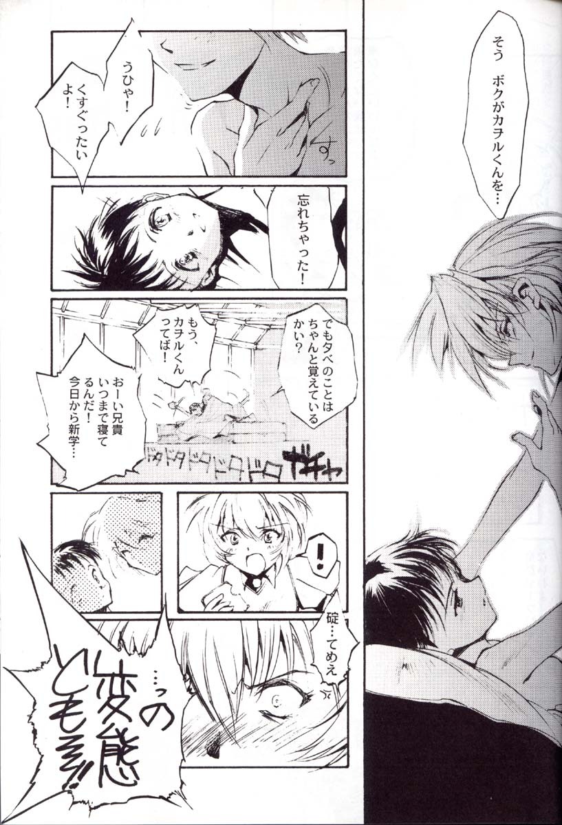 (C52) [CHOCOLATE SHOP (CHOCO)] Houtai Shoujo THE THIRD (Neon Genesis Evangelion) page 44 full