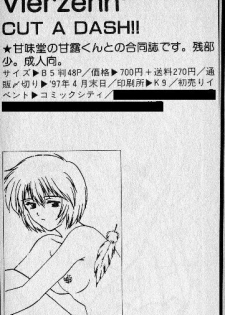 [CUT A DASH!! (Mitsumi Misato)] Vierzehn³ (Neon Genesis Evangelion) [Incomplete] - page 11