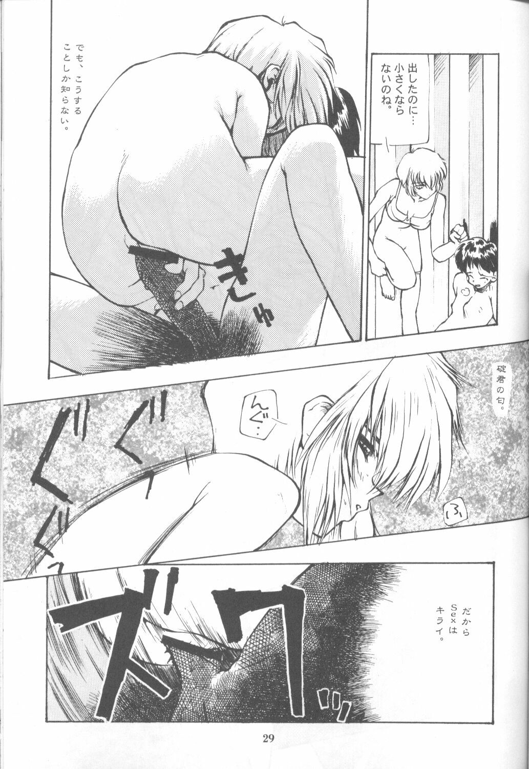 [Paradise City (Various)] Tabeta Kigasuru 16 (Neon Genesis Evangelion) page 28 full