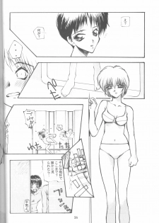 [Paradise City (Various)] Tabeta Kigasuru 16 (Neon Genesis Evangelion) - page 25