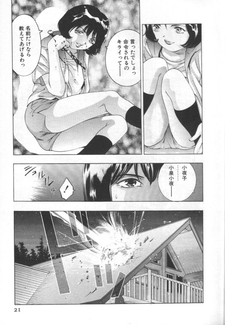 [Onikubo Hirohisa] Mehyou - Female Panther Vol. 2 page 20 full