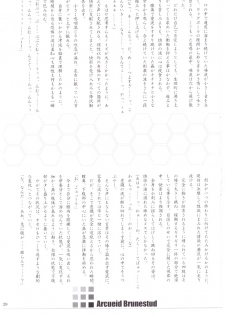(C72) [Percepton (Asaga Aoi)] ERO Arc (Tsukihime, Melty Blood) - page 29