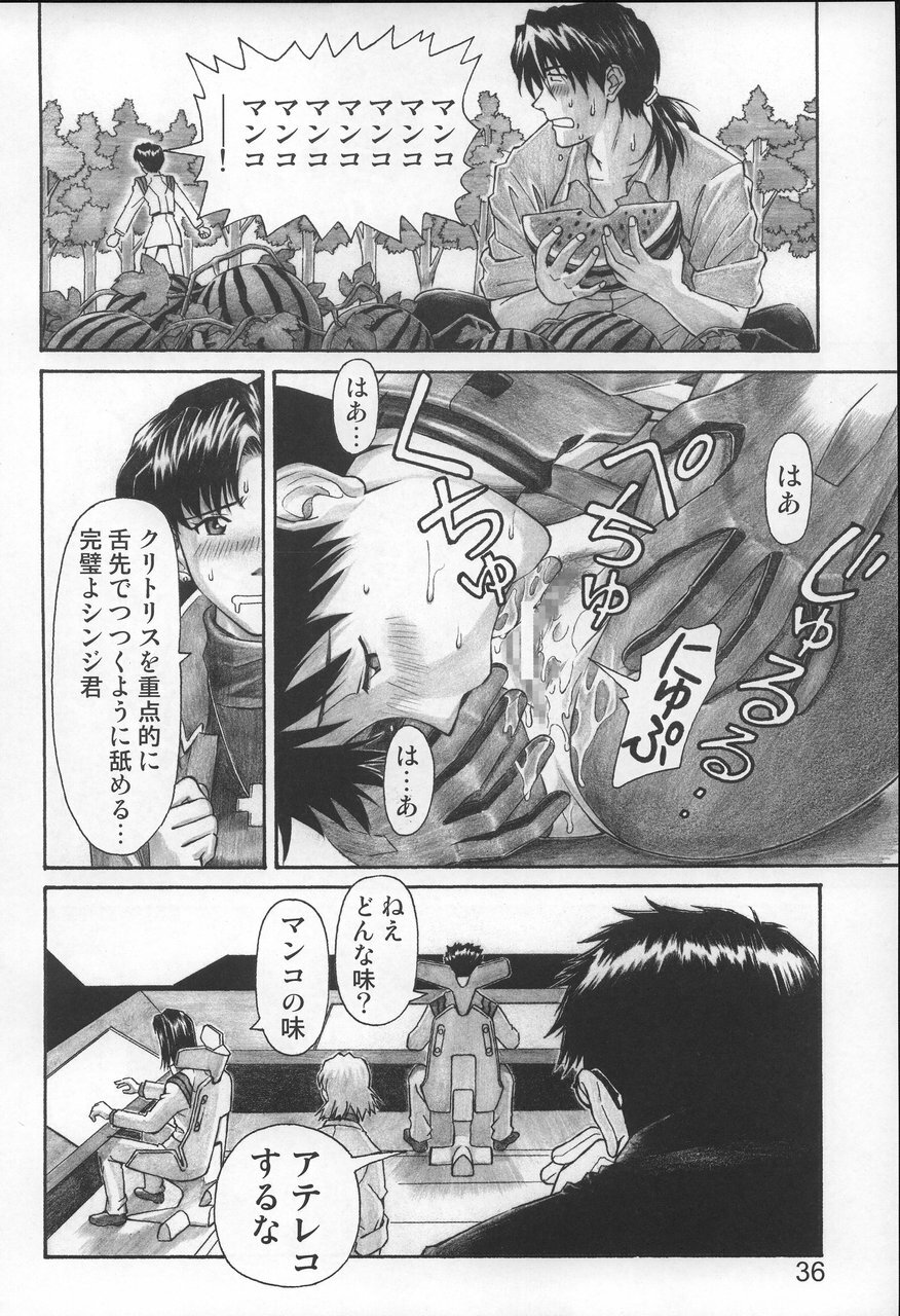 (C68) [TENGU NO TSUZURA (Kuro Tengu)] NERV no Ichiban Nagai Hi (Neon Genesis Evangelion) page 35 full
