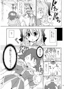 (SC36) [Prime-F (Hakubun)] XxR (Ragnarok Online) - page 13