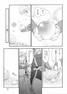 (SC36) [Prime-F (Hakubun)] XxR (Ragnarok Online) - page 39
