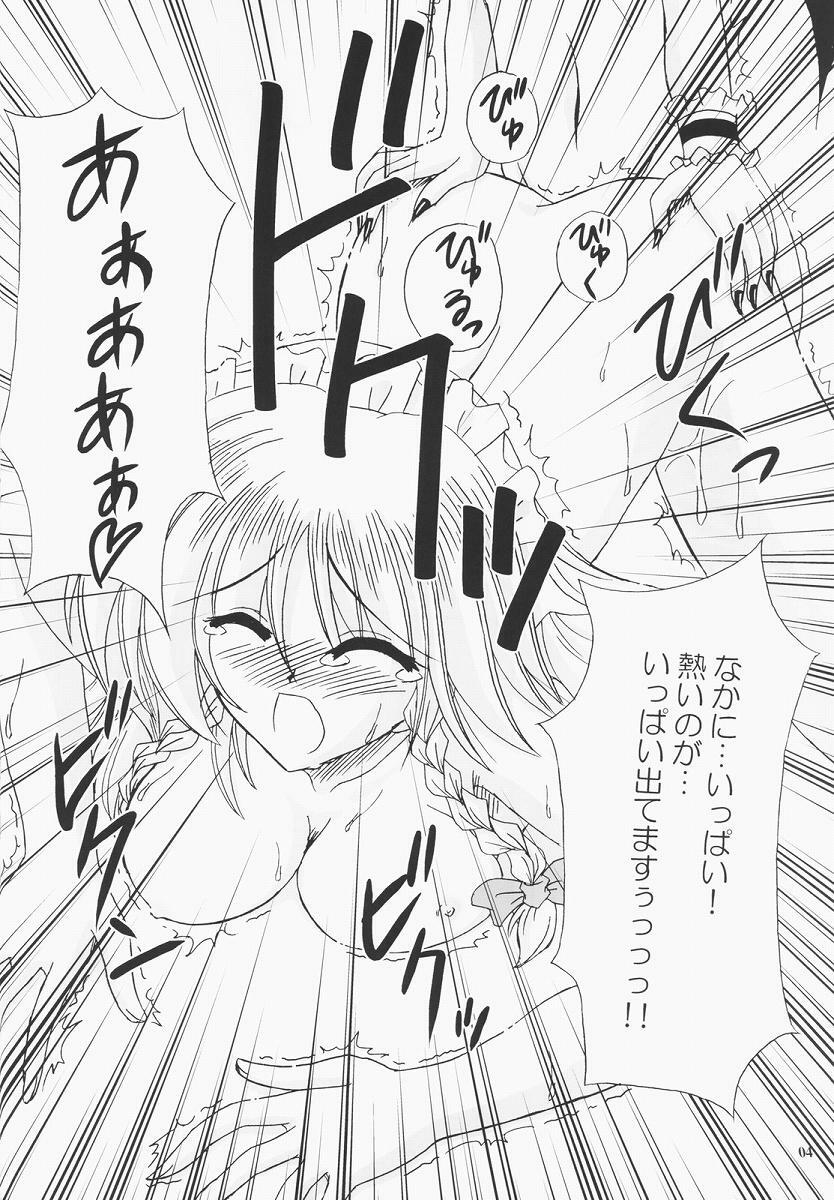 (C68) [Reverse Noise (Yamu)] Secret addition Zenpen (Touhou Project) page 3 full