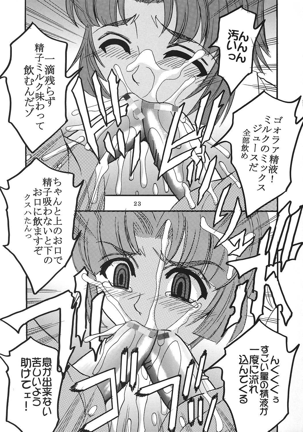 [St. Rio (Kitty)] SUPER COSMIC BREED 3 (My-Otome, Super Robot Wars) page 24 full