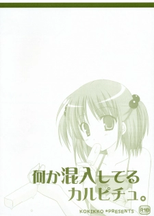 (C72) [Kokikko (Sesena Yau)] Nanika Konnyuu Shiteru Karupichu. (Hayate no Gotoku!) - page 10