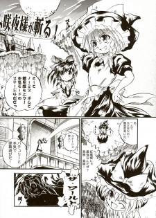 (CR36) [DPS no Doreitachi (Monji)] Touhou Koimoyou - Maid to Mahoutsukai no Himegoto (Touhou Project) - page 12