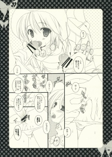 (Mimiket 15) [Kokikko (Sesena Yau)] F (Summon Night 3) - page 4