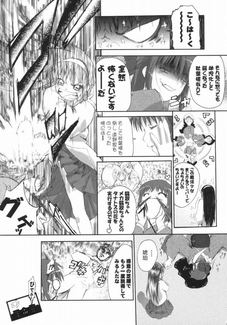 (C65) [AMARANCHI (Q-Gaku, Shinbo Tamaran)] Canaillerie - An Infatuated Girl (Tsukihime) page 6 full