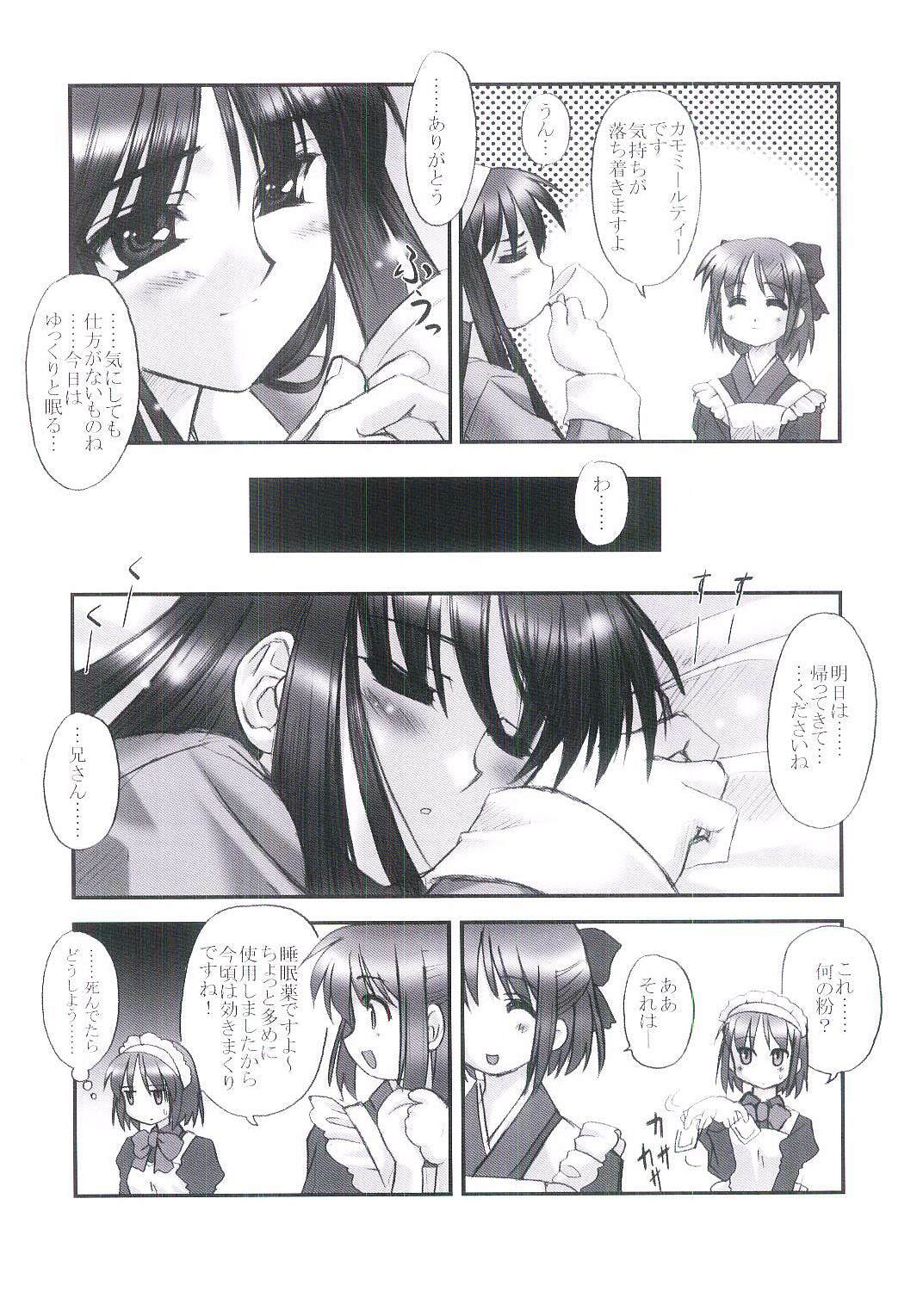 [ARE. (Harukaze Do-jin)] MOONLIGHT to DAYBREAK (Tsukihime) page 21 full