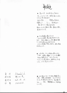 (C66) [St. Armadel Ch. (Kagetora)] Tsukihime Giwa 2 (Tsukihime) - page 25