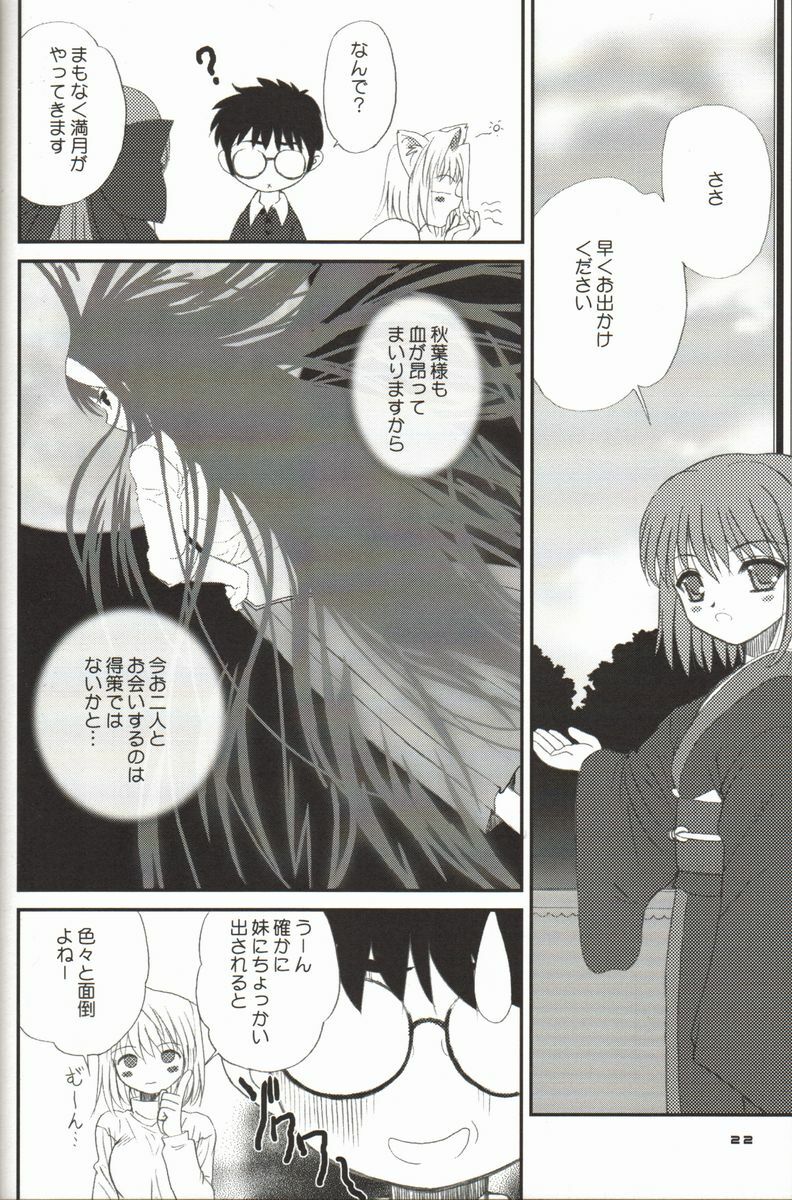 (C61) [Dieppe Factory (Alpine)] BLUE WIND (Tsukihime) page 22 full