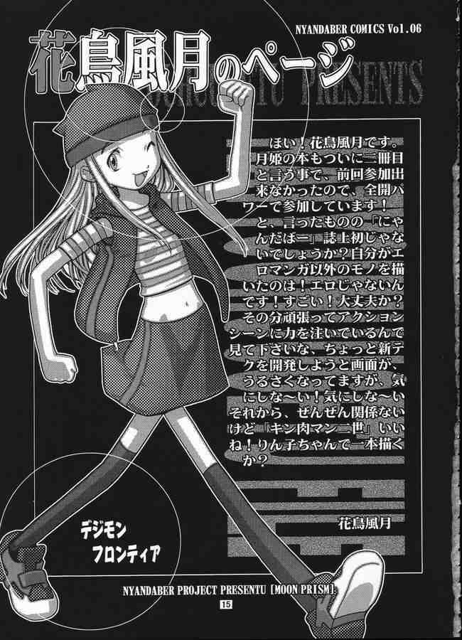 (CR31) [Nyandabaa (Kachoufuugetsu)] MOON PRISM (Tsukihime) page 10 full