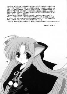 (C63) [Neko Kinryouku (NekoNeko)] Tsukineko Kyoushitsu (Tsukihime) - page 24