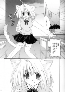 (C63) [Neko Kinryouku (NekoNeko)] Tsukineko Kyoushitsu (Tsukihime) - page 4