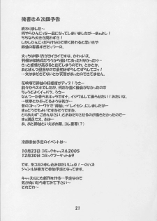 [Schwester (Shirau Inazaki)] Rollin 20 (Touhou Project) - page 22