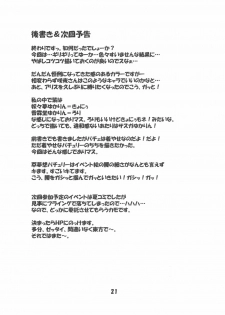 (SC28) [Schwester (Inasaki Shirau)] Rollin 18 (Touhou Project) - page 20