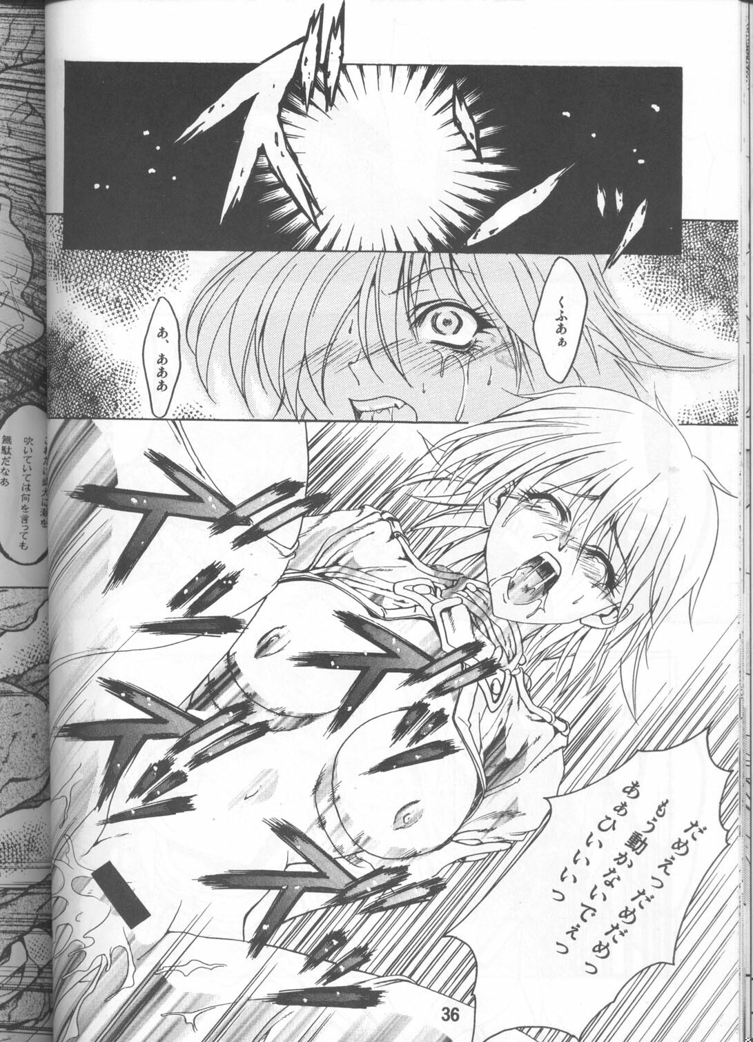 [FAKESTAR (Miharu)] CHAOS STEP 1+2 (Hellsing) page 35 full