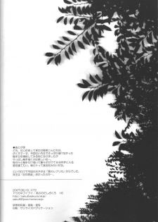 (C72) [Douganebuibui (Aburidashi Zakuro)] Itsuka Kuwareru (Touhou Project) - page 17