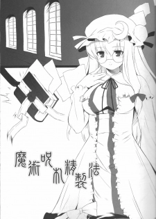 (C72) [Douganebuibui (Aburidashi Zakuro)] Itsuka Kuwareru (Touhou Project) - page 4