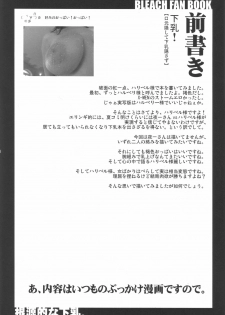 (C72) [VARIABLE? (Yukiguni Eringi)] Kongenteki Nashita Chichi. (Bleach) - page 3
