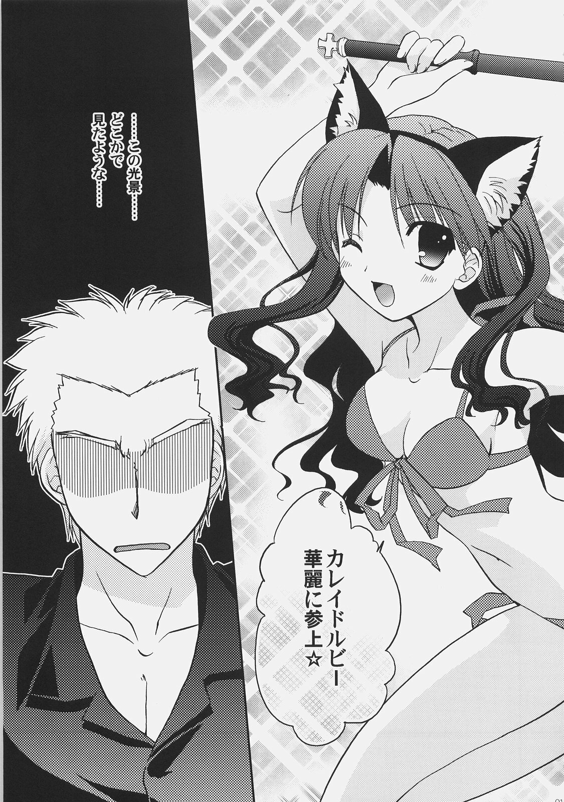 (C72) [C.A.T (Morisaki Kurumi)] RED/II (Fate/stay night) page 18 full