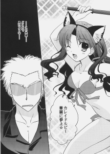 (C72) [C.A.T (Morisaki Kurumi)] RED/II (Fate/stay night) - page 18