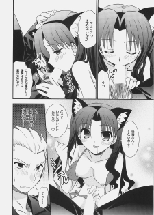 (C72) [C.A.T (Morisaki Kurumi)] RED/II (Fate/stay night) - page 21