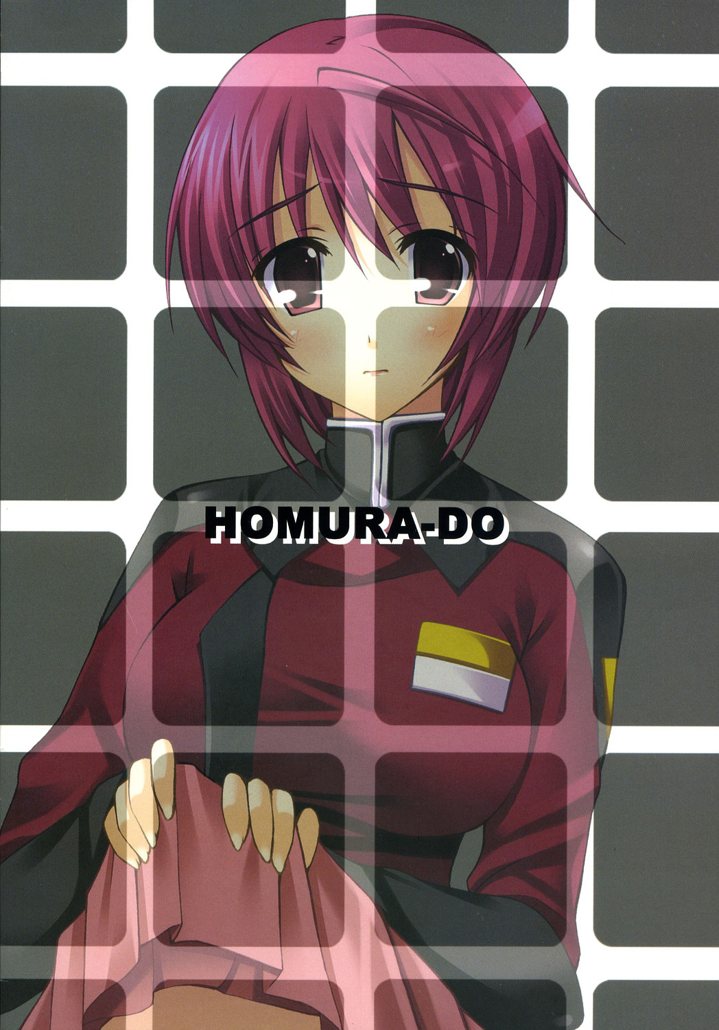 (C72) [Homurado (Mizuhara Yuu)] Taneware. (Gundam Seed) page 2 full