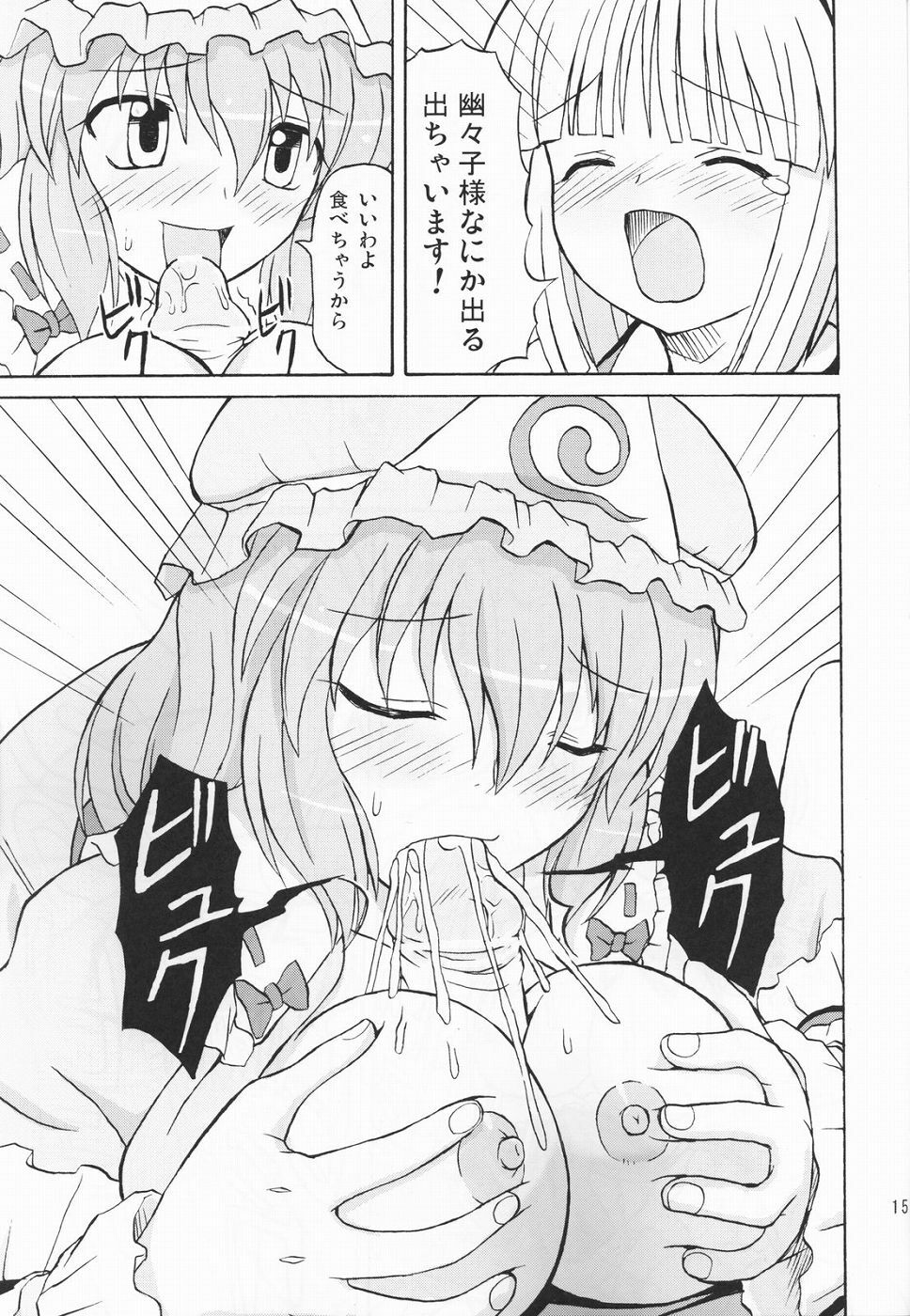 (Reitaisai 2) [Takakuya (Takaku Toshihiko)] Touhou Youjo Ranbu 3 (Touhou Project) page 14 full