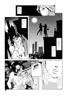 [Hanshi x Hanshow (NOQ)] FIGHT FOR THE NO FUTURE 02 (Street Fighter) - page 24