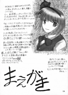 (C66) [Takitate no Okoge, Cave (Ryosuke, Hachi)] Goutsukurishi Kaze (Touhou Project) - page 4