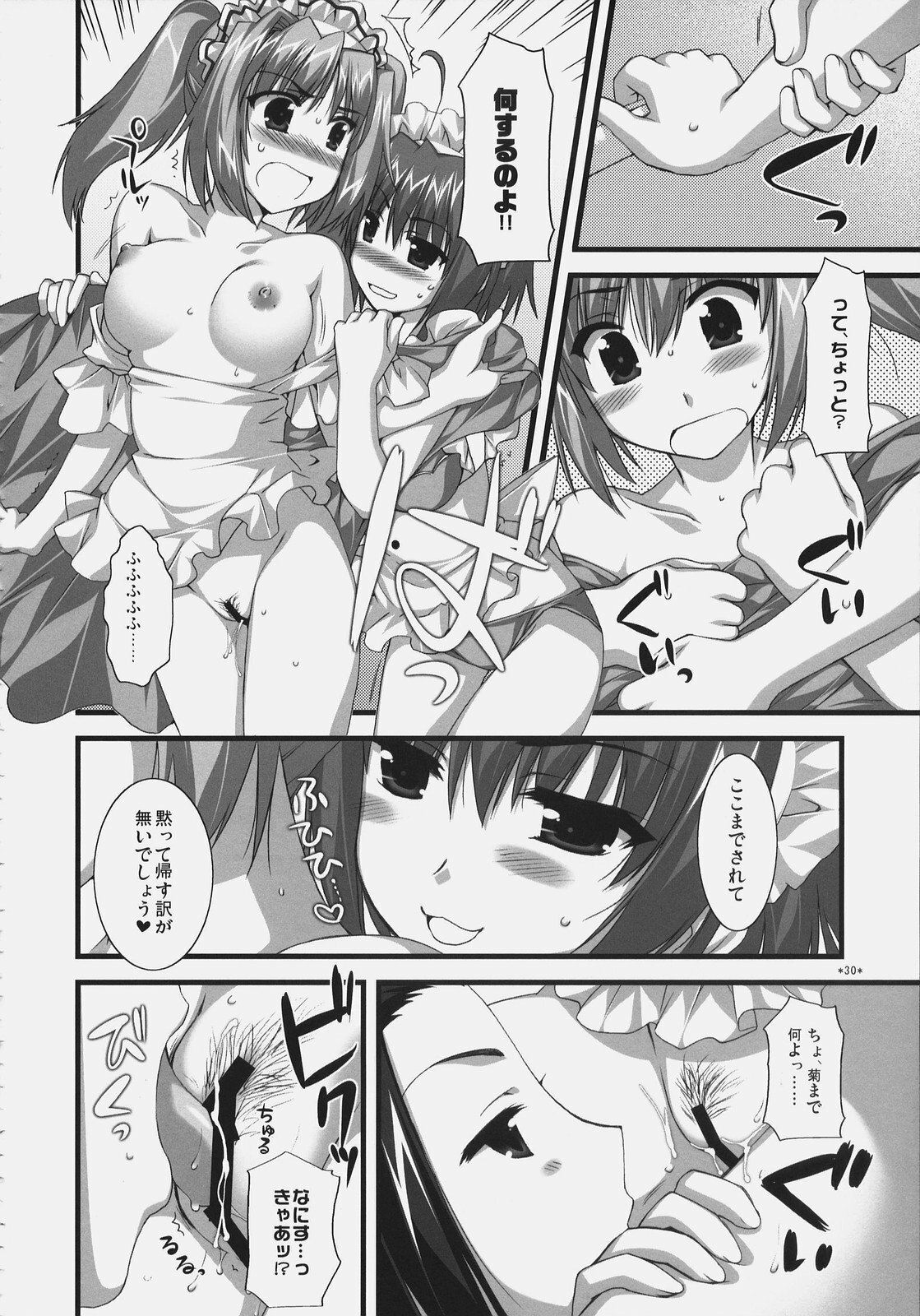 (C72) [Alpha to Yukaina Nakamatachi (Alpha)] Tsubaki to Kiku Fina~le! page 29 full