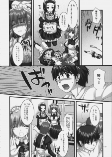 (C72) [Alpha to Yukaina Nakamatachi (Alpha)] Tsubaki to Kiku Fina~le! - page 17