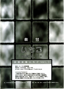 (C66) [Circle Kuusou Zikken (Munehito)] Kuusou Zikken Ichigo Vol. 1 (Ichigo 100%) [English] [Coff666] - page 28
