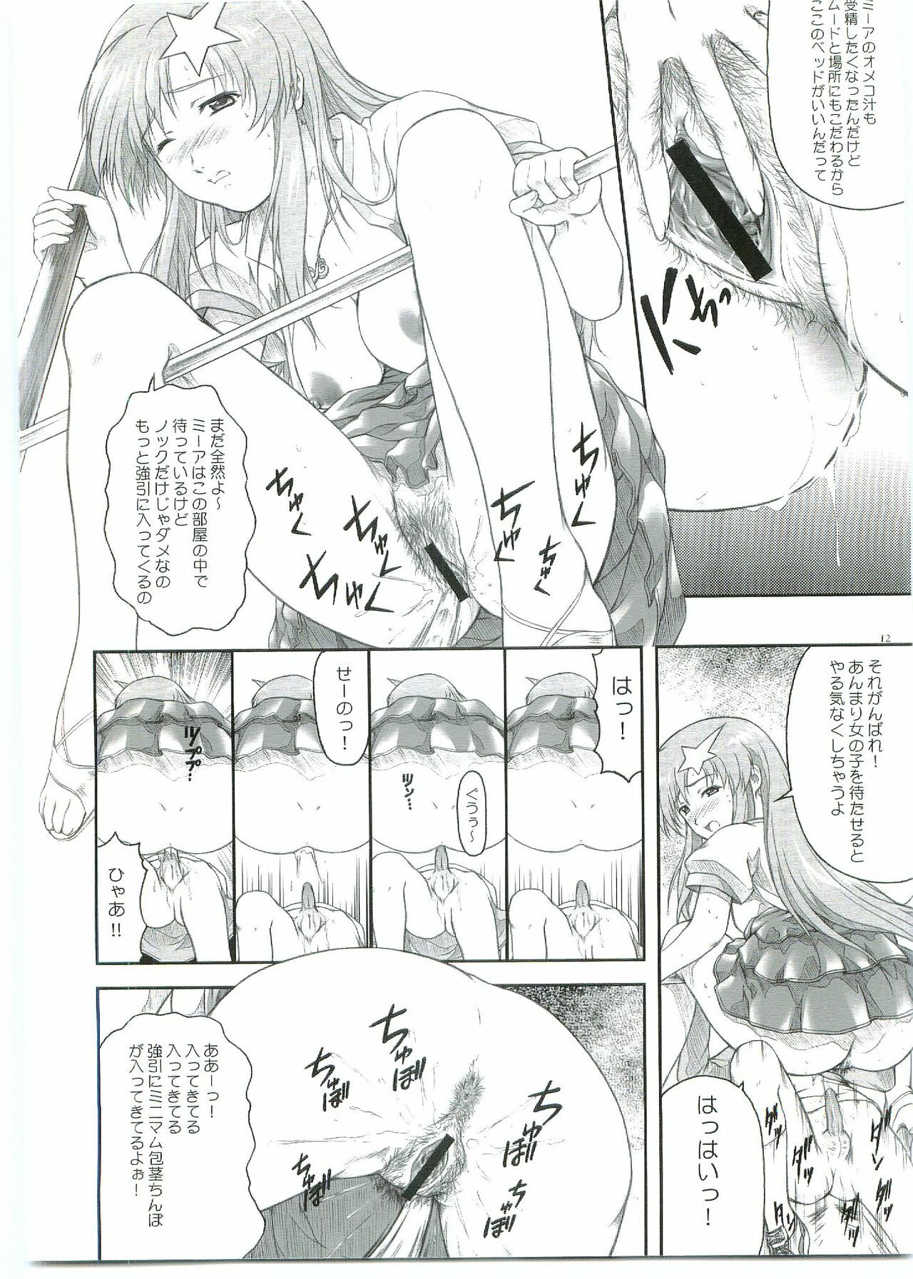 (C69) [OTOGIYA X-9 (Mizuki Haruto)] ...Shinai no? Meer Sensei -C69VERSION- (Mobile Suit Gundam SEED DESTINY) page 12 full