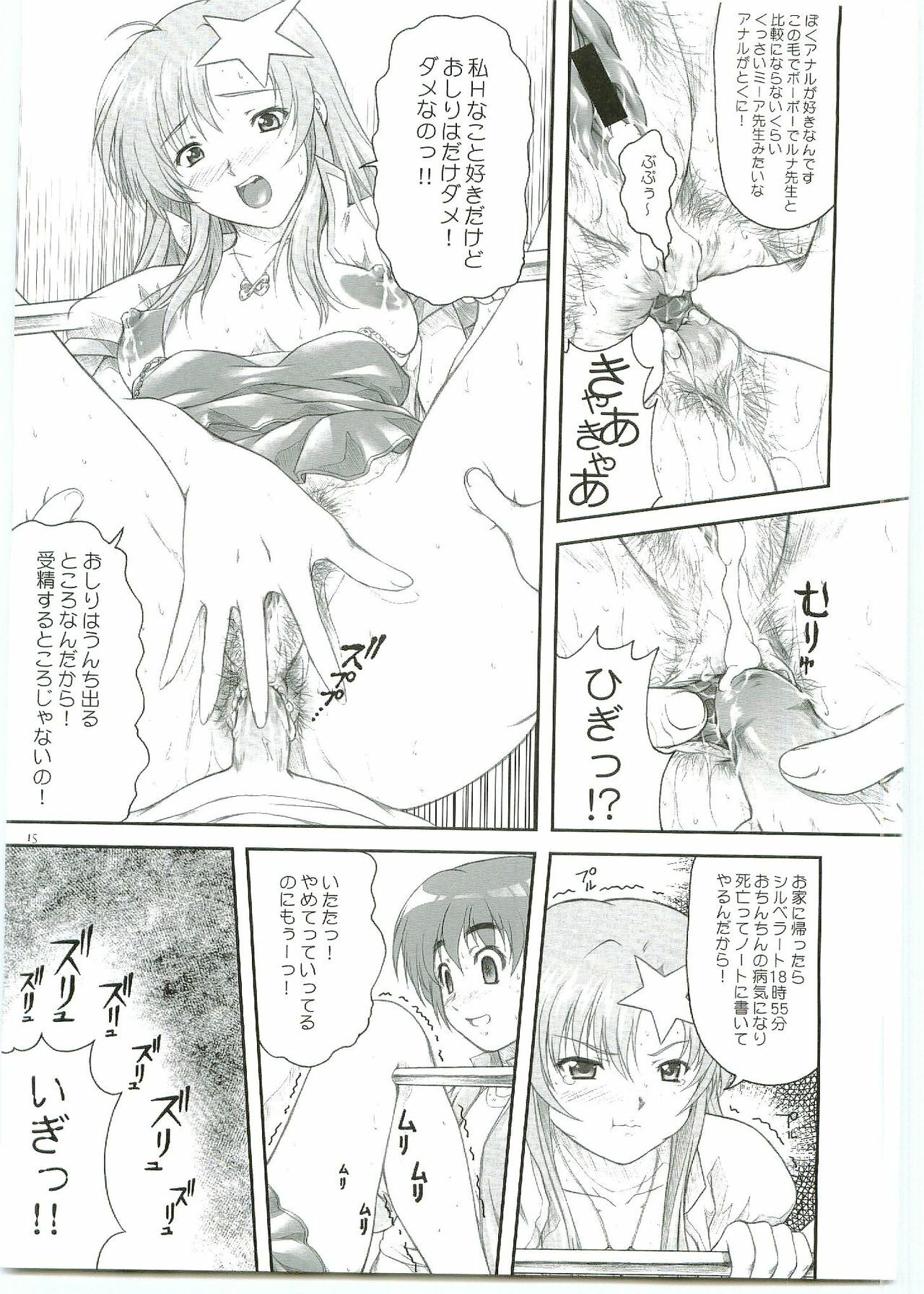 (C69) [OTOGIYA X-9 (Mizuki Haruto)] ...Shinai no? Meer Sensei -C69VERSION- (Mobile Suit Gundam SEED DESTINY) page 15 full