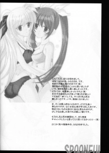 (C72) [SEA STAR (Hina Sasaki)] SPOONFUL (Mahou Shoujo Lyrical Nanoha) [English] [NanoFate] - page 24