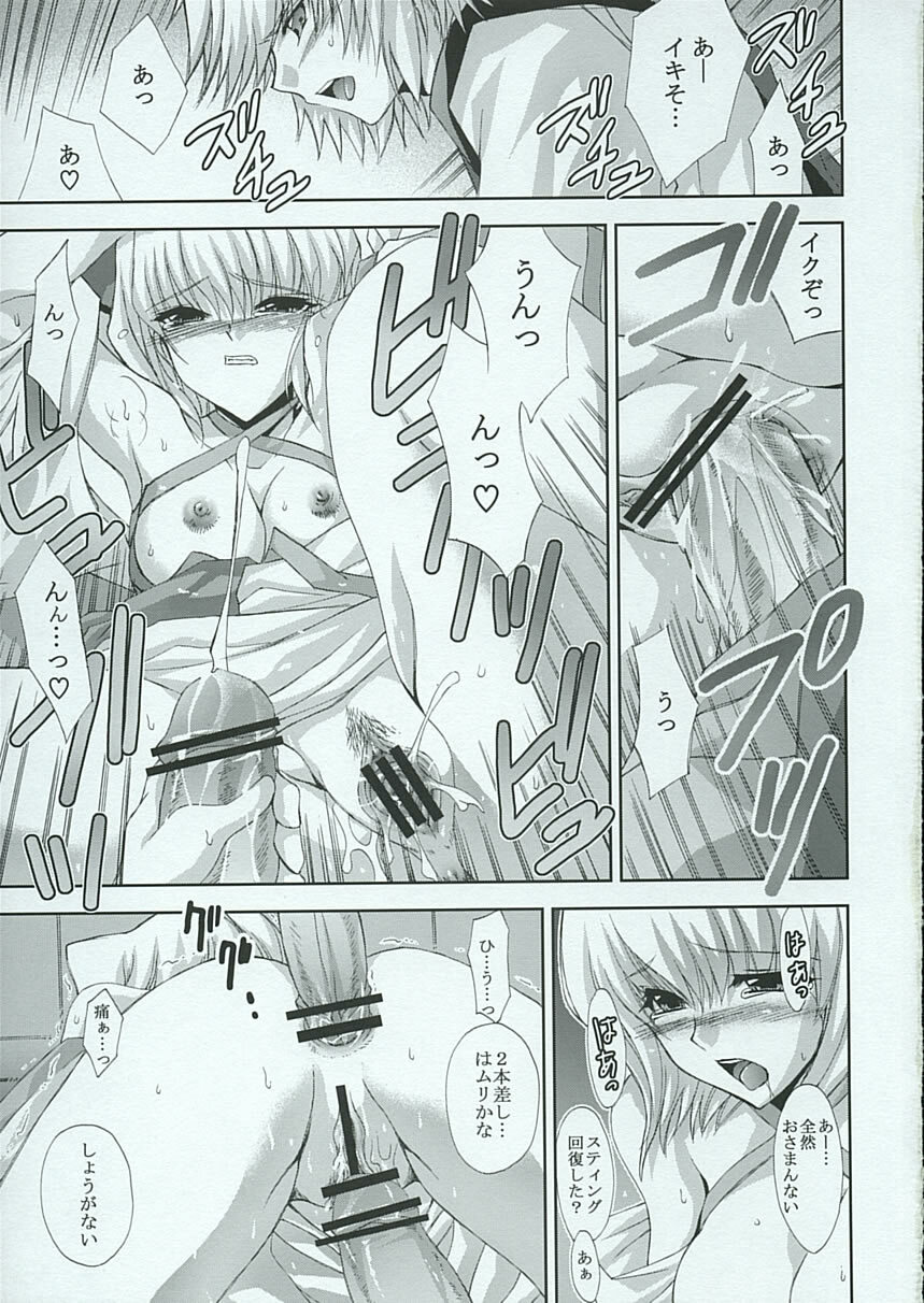 [FANTASY WIND (Shinano Yura)] FUWA+FUWA (Gundam SEED DESTINY) page 12 full