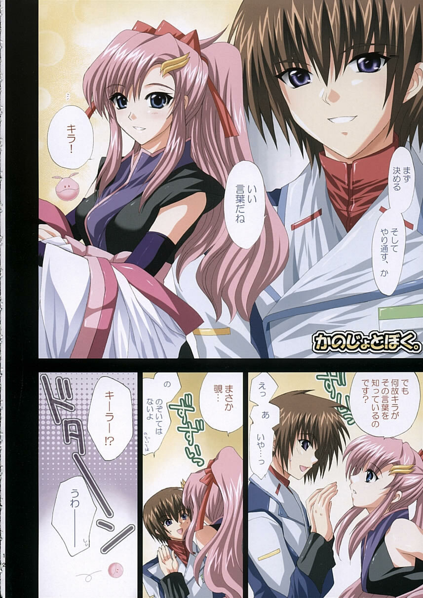 (C68) [FANTASY WIND (Shinano Yura)] satisfy (Gundam SEED DESTINY) page 11 full